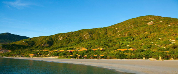 Wild Beach Resort & Spa