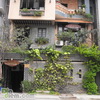 Cà Phê Hình Như Là